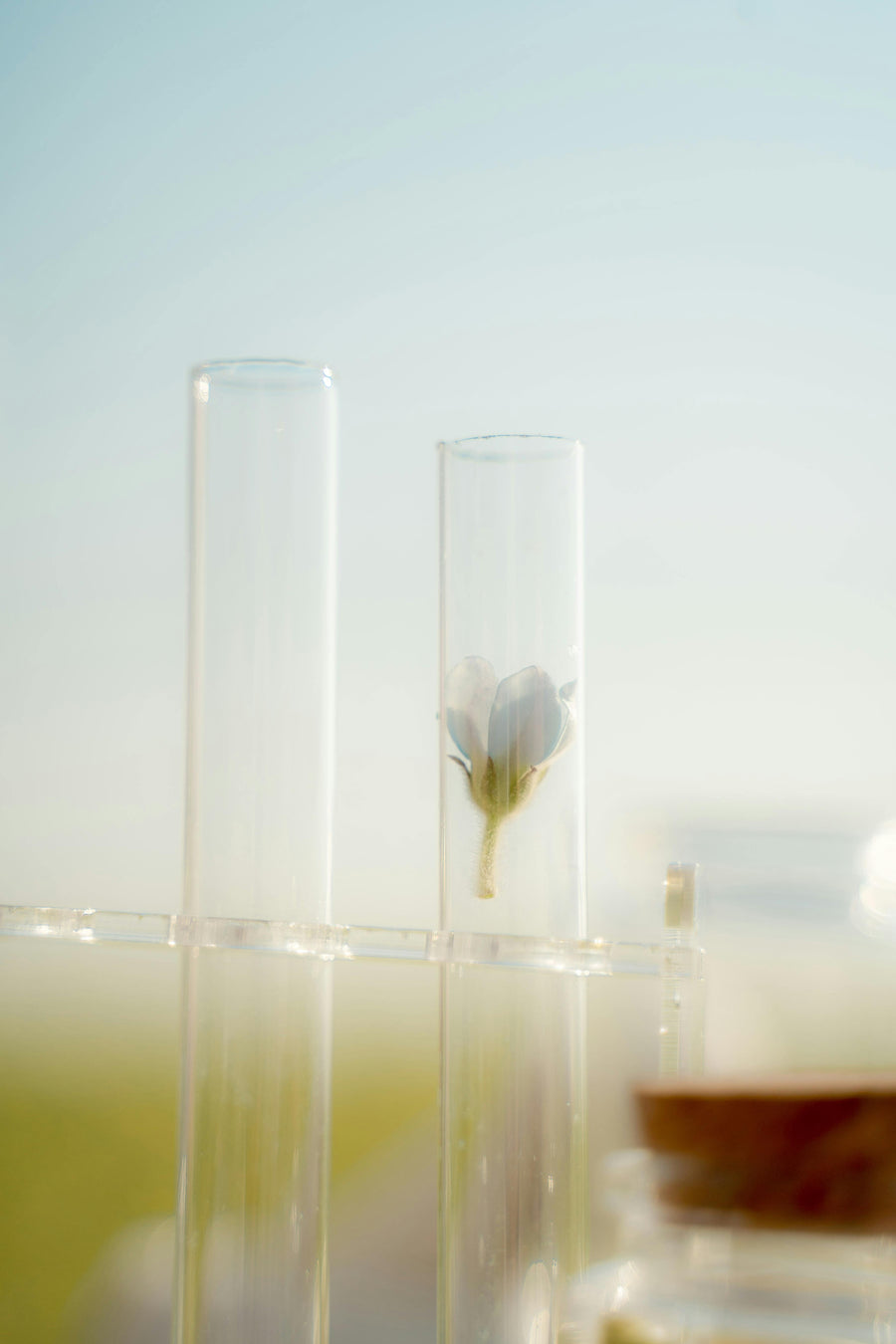 Science-Backed
