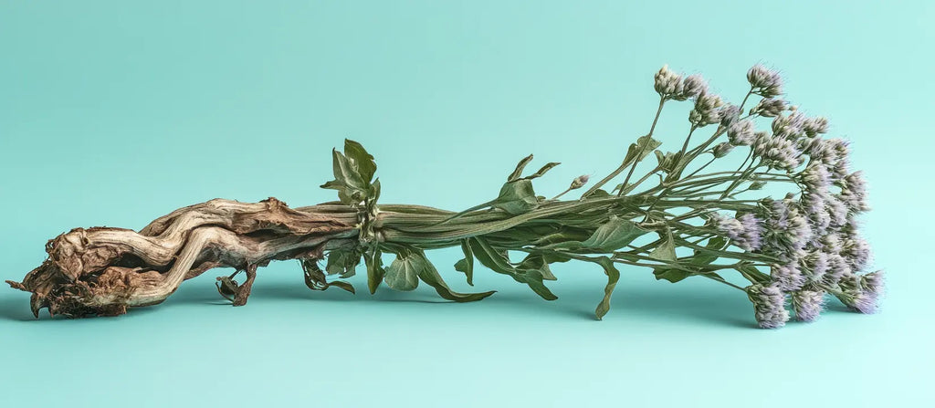 Valerian Root